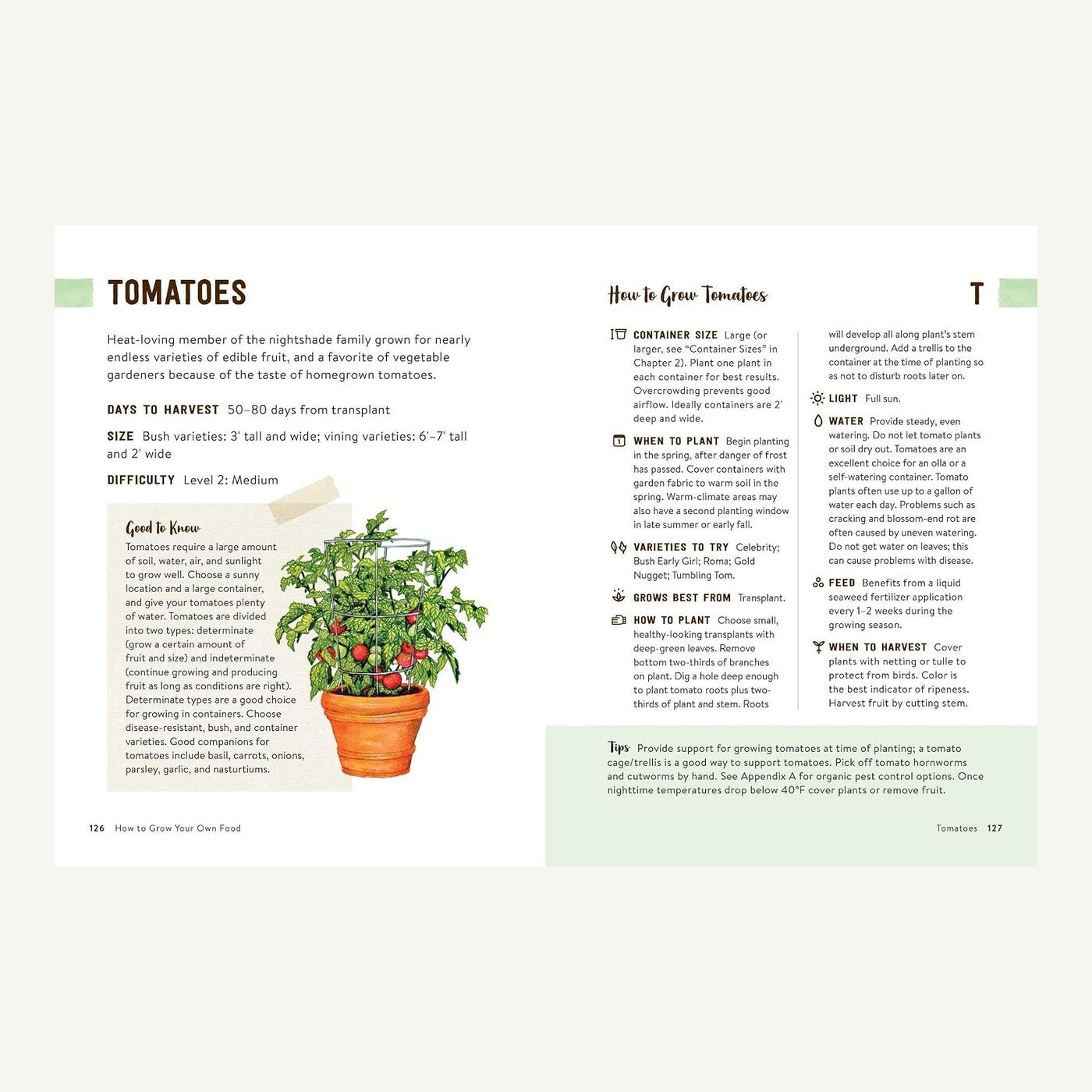 Tomato container-growing guide inside How to Grow Your Own Food