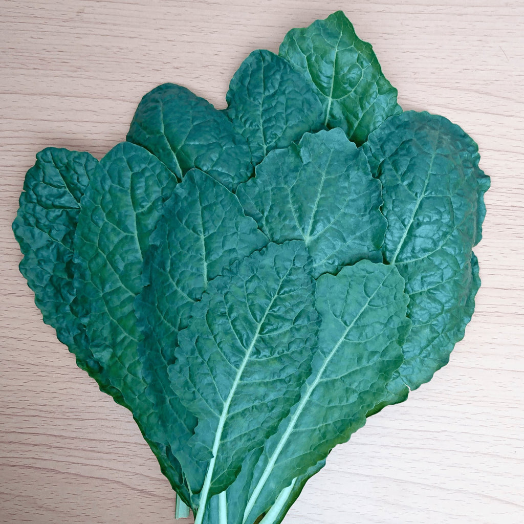 Kale Nero Di Toscana (Black Cabbage) Heirloom Seeds - Planting Organics