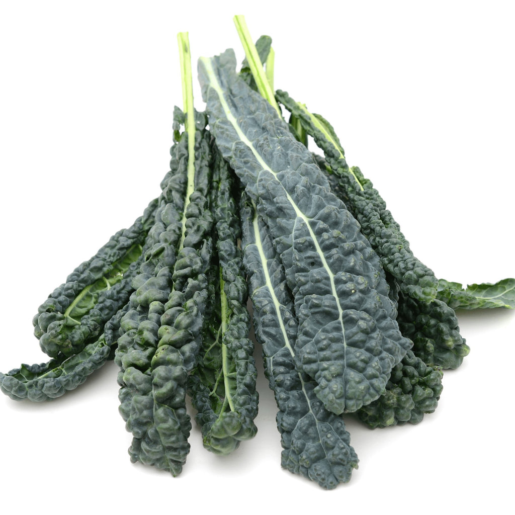 Kale Nero Di Toscana (Black Cabbage) Heirloom Seeds - Planting Organics