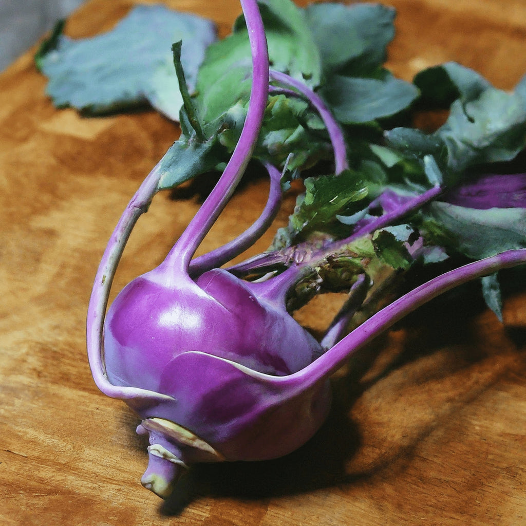 Kohl Rabi Purple Vienna - Planting Organics