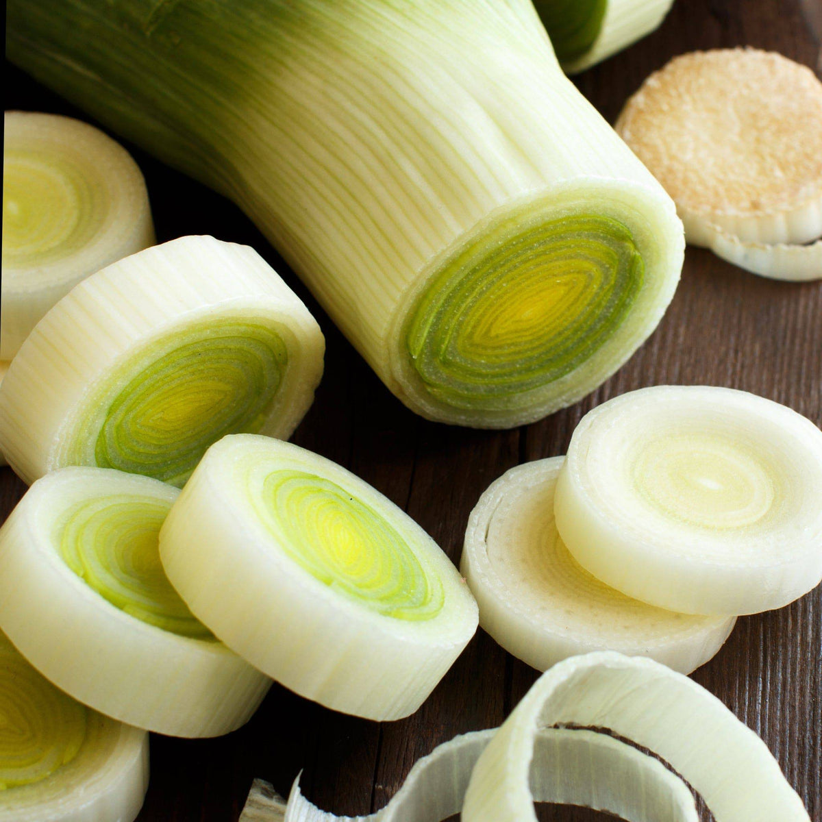 Leek Vegetable Heirloom Seeds - Planting Organics