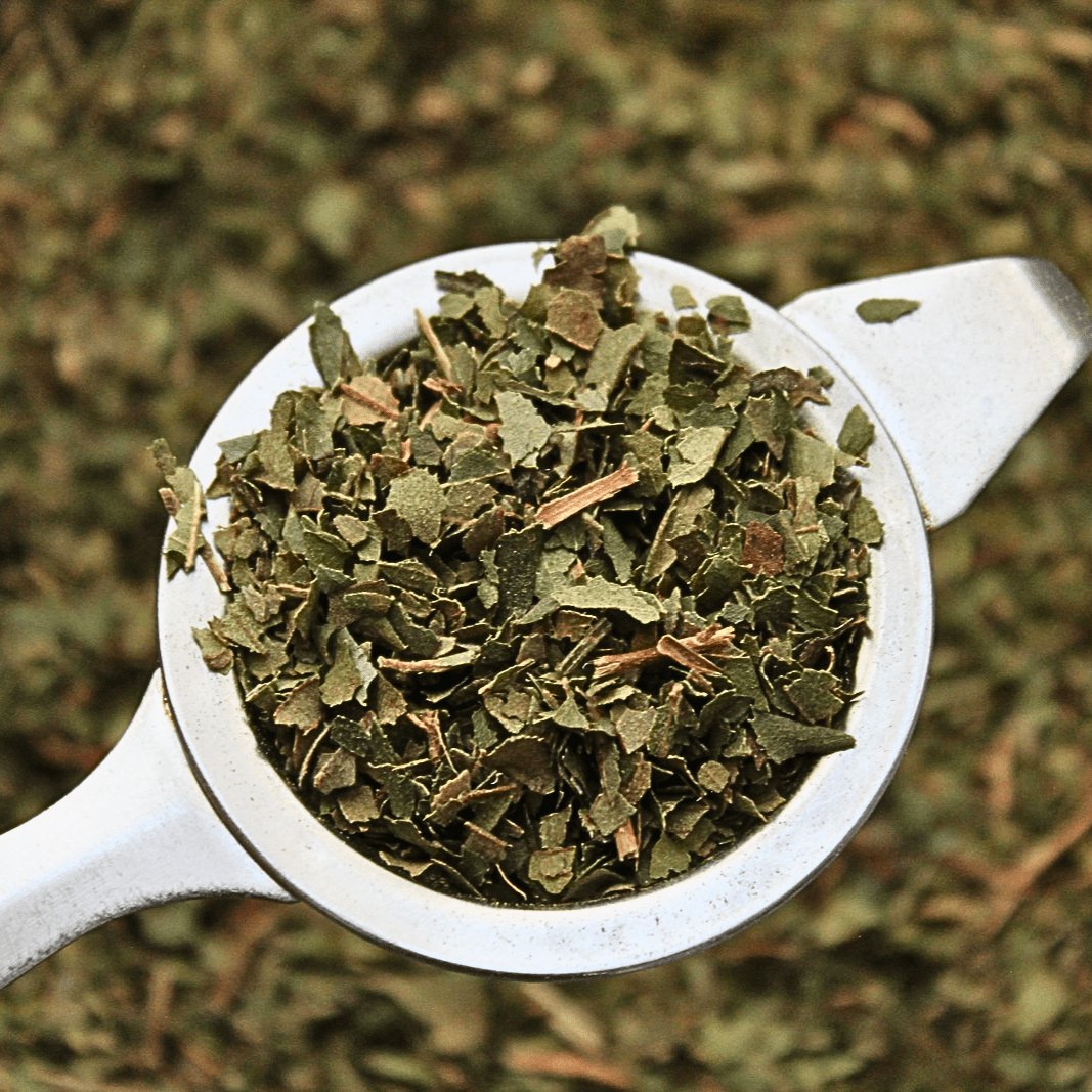 Lemon Myrtle Tea | Organic Citrus Infusion – Planting Organics