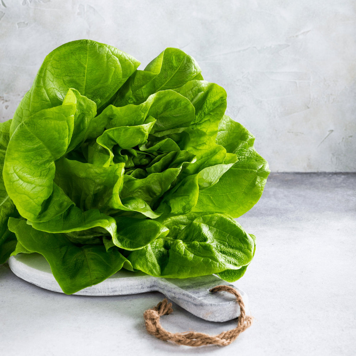 Lettuce Butterhead Buttercrunch Heirloom Seeds 1g - Planting Organics