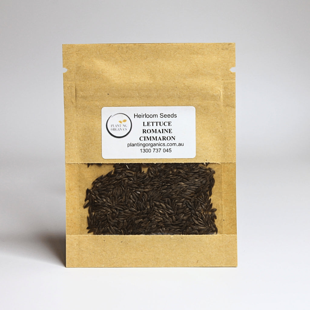 Lettuce Red Rommaine Cimmaron Heirloom Seeds - Planting Organics