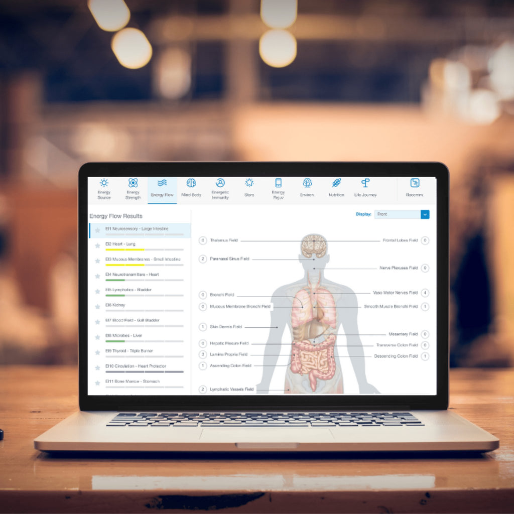 NES Bioenergetic Body Scan and 1 Hour Consultation - Planting Organics