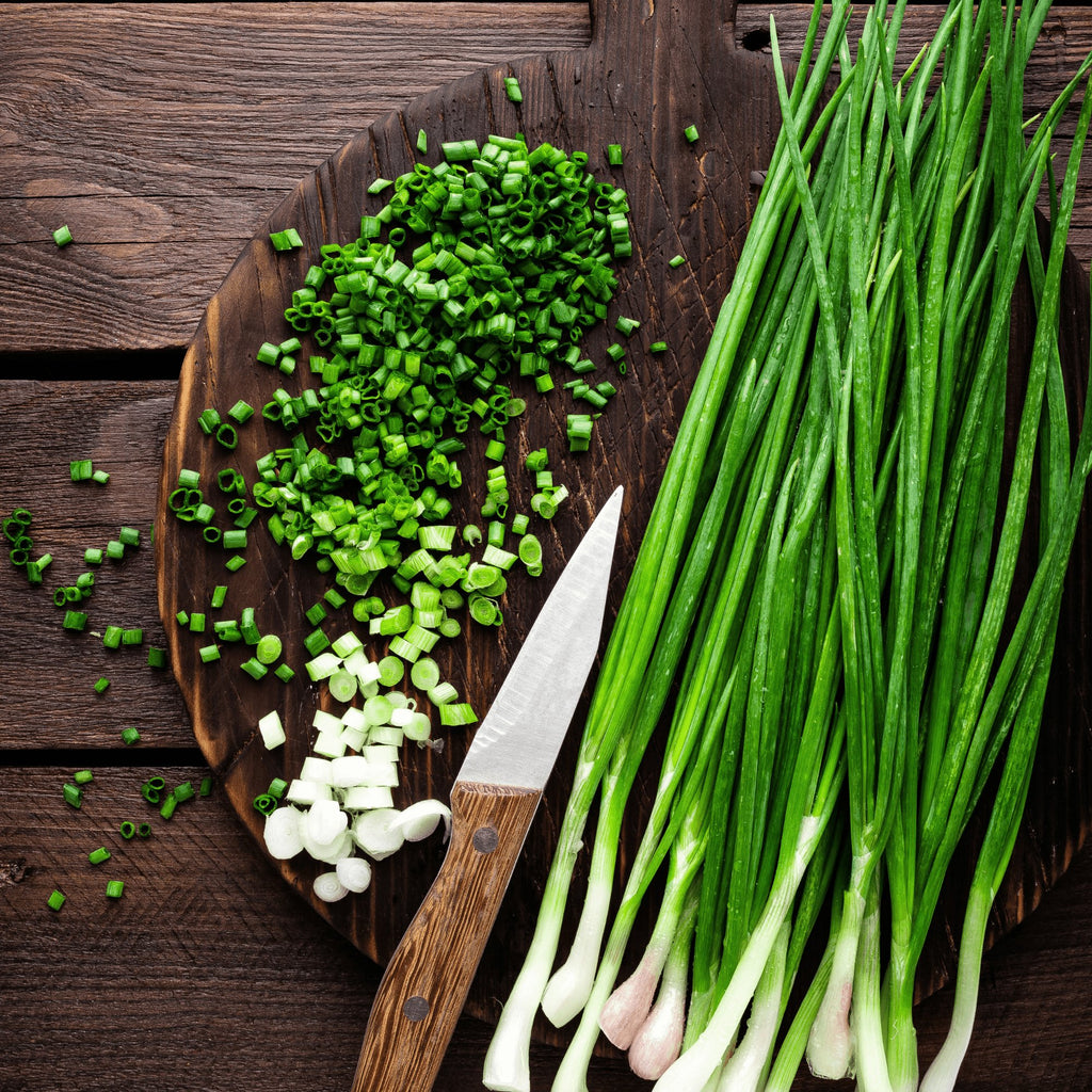 Onion Chives Herb Heirloom Seeds - Planting Organics