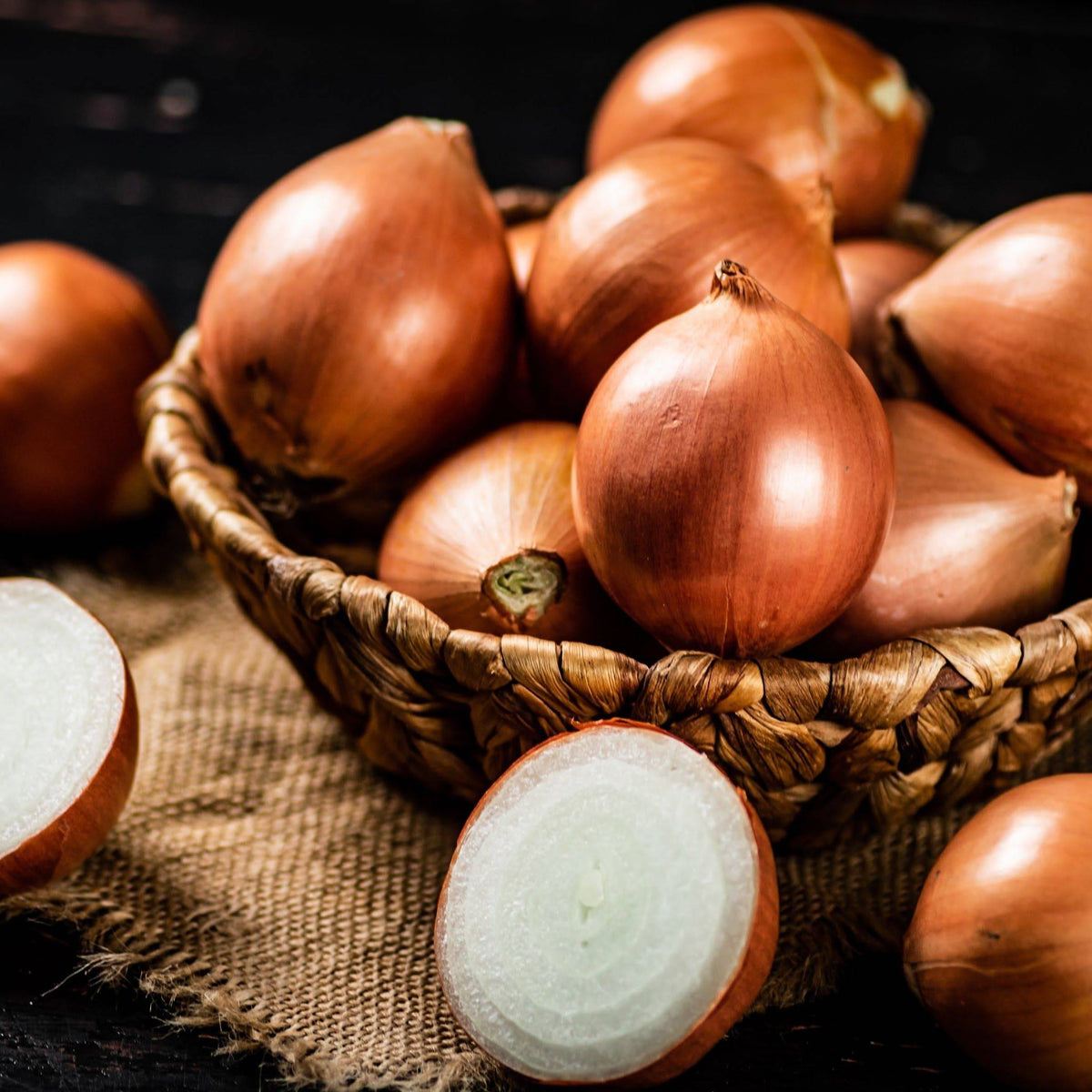 Onion Gladalan Brown Heirloom Seeds - Planting Organics