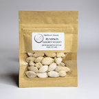 Pumpkin Golden Nugget Heirloom Seeds - Planting Organics