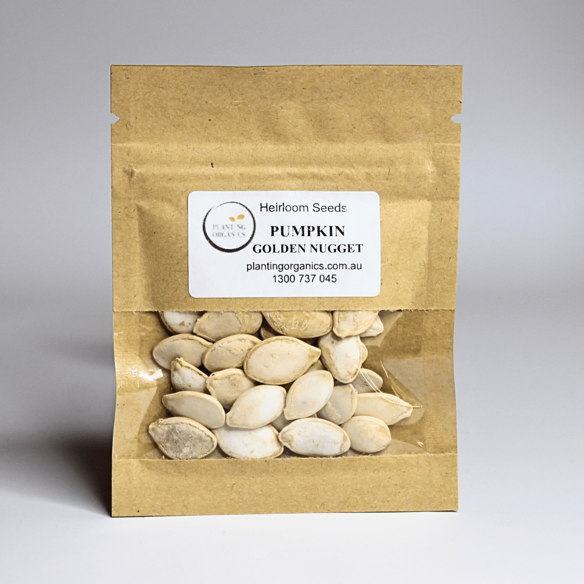 Pumpkin Golden Nugget Heirloom Seeds - Planting Organics