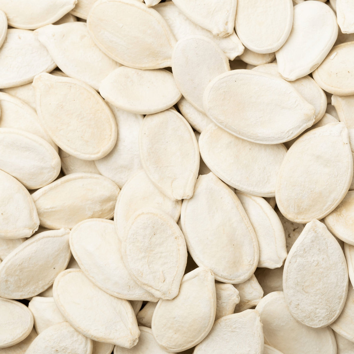 Pumpkin Butternut Heirloom Seeds 1g - Planting Organics