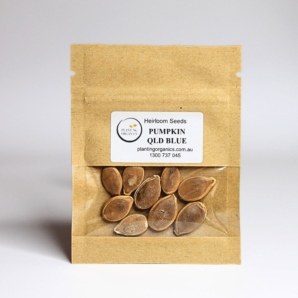 Pumpkin Queensland Blue Heirloom Seeds 2g - Planting Organics