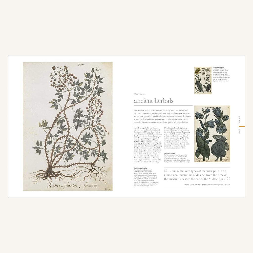 The Science of Plants spread about ancient herbals and botanical art