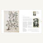 The Science of Plants spread about ancient herbals and botanical art