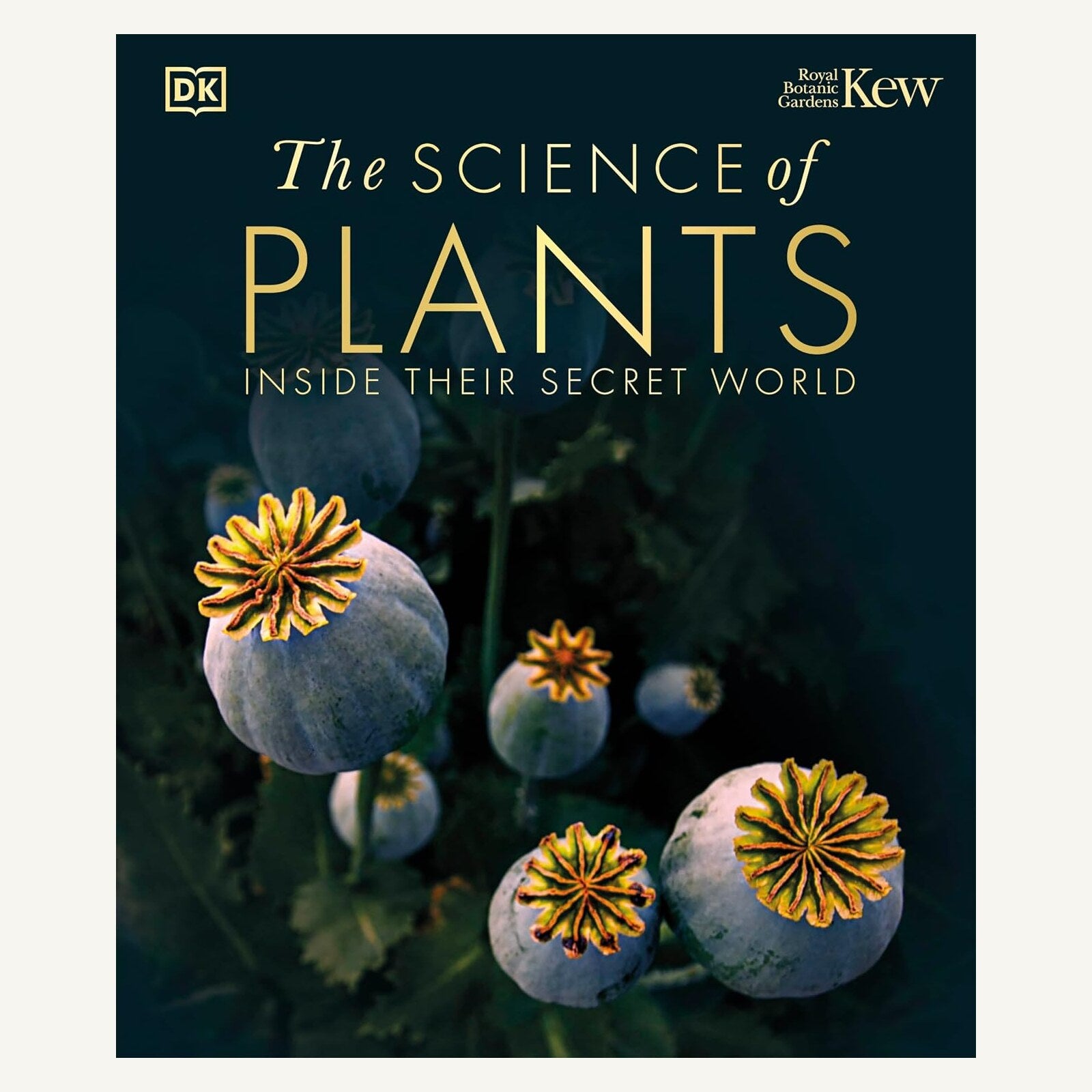 The Science of Plants Inside Their Secret World hardcover front cover