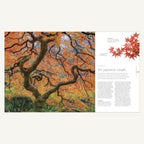 The Science of Plants Japanese maple photography and botany spread