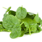 Spinach Baby Leaf Heirloom Seeds - Planting Organics