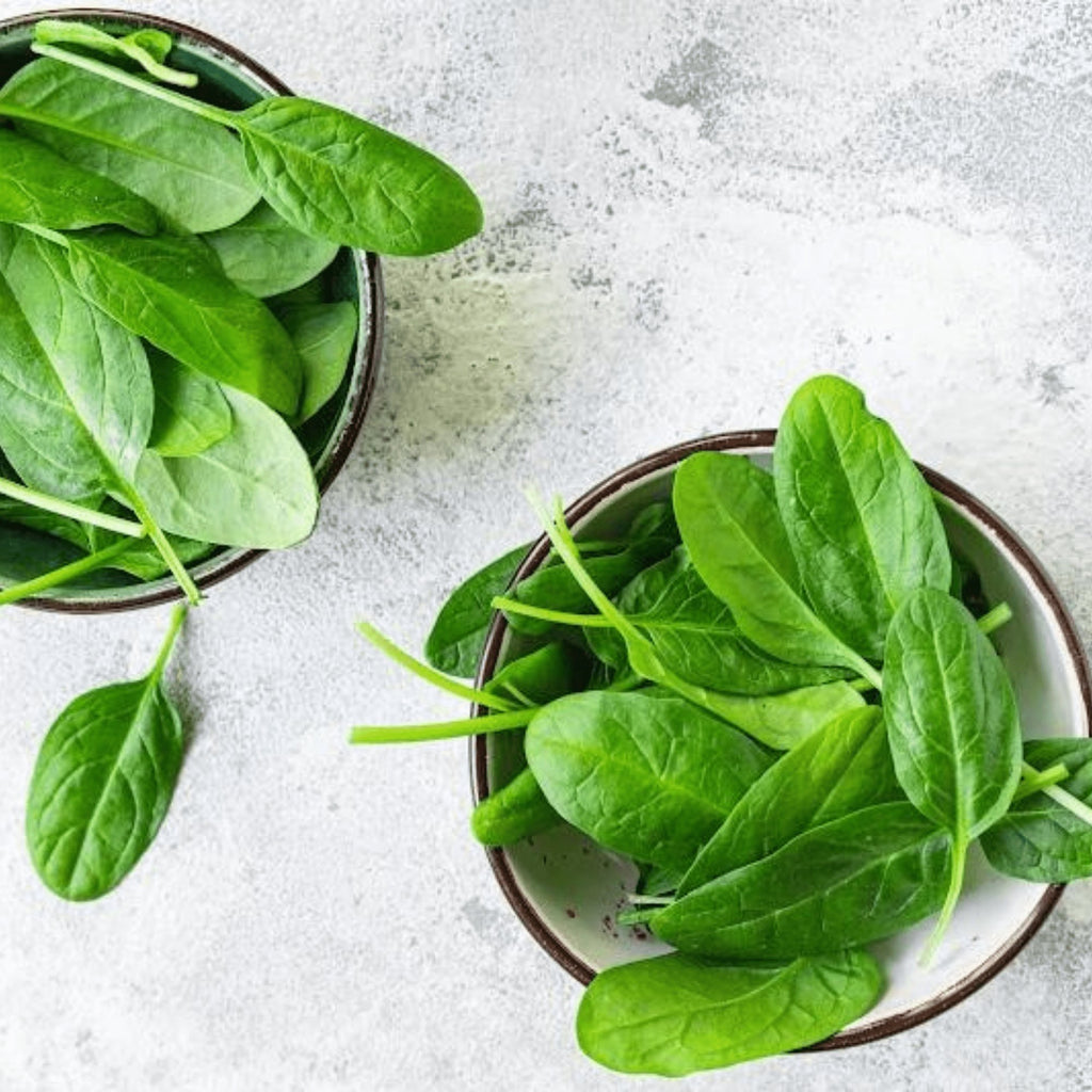 Spinach Baby Leaf Heirloom Seeds - Planting Organics