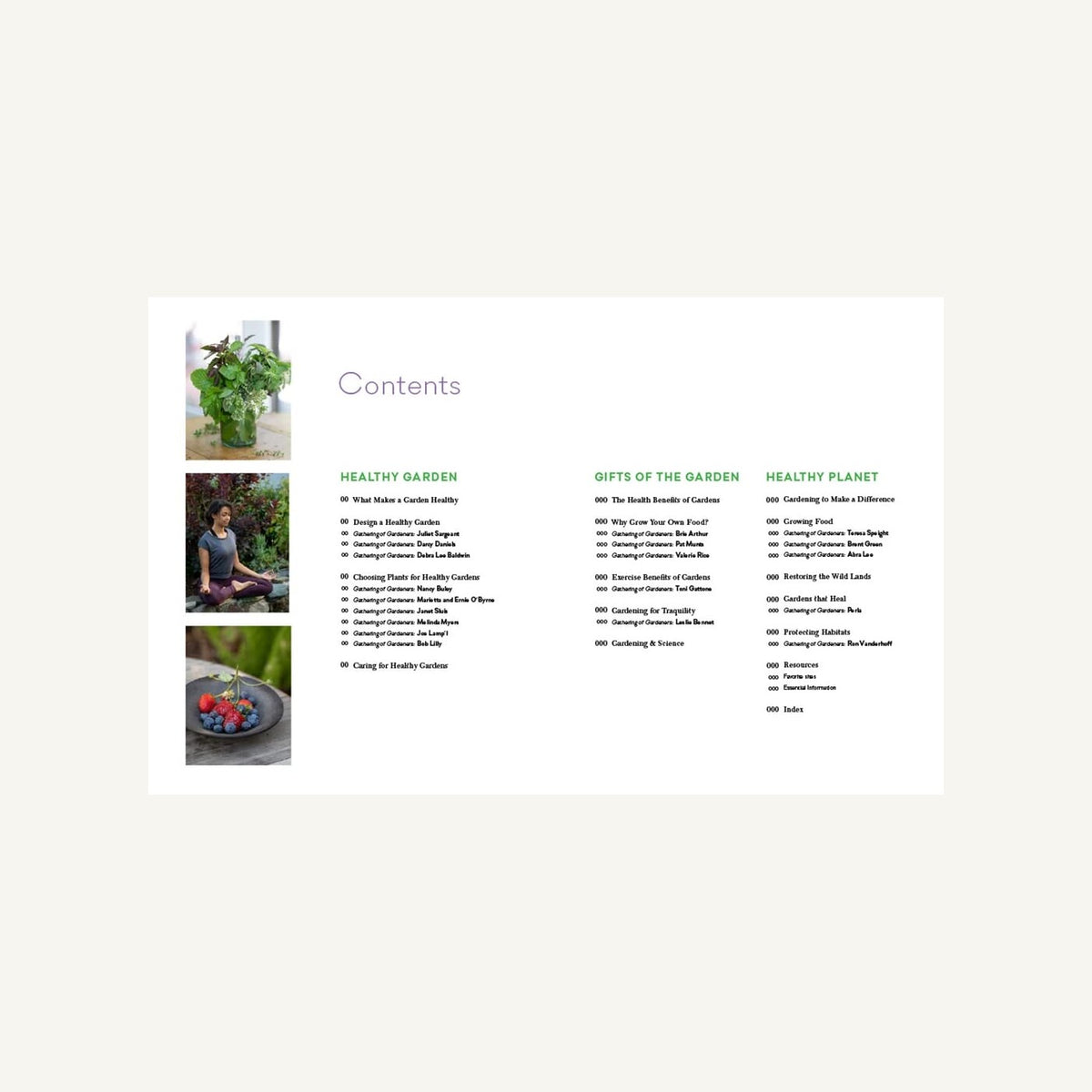 Contents of The Healthy Garden covering healthy gardens, communities and planet