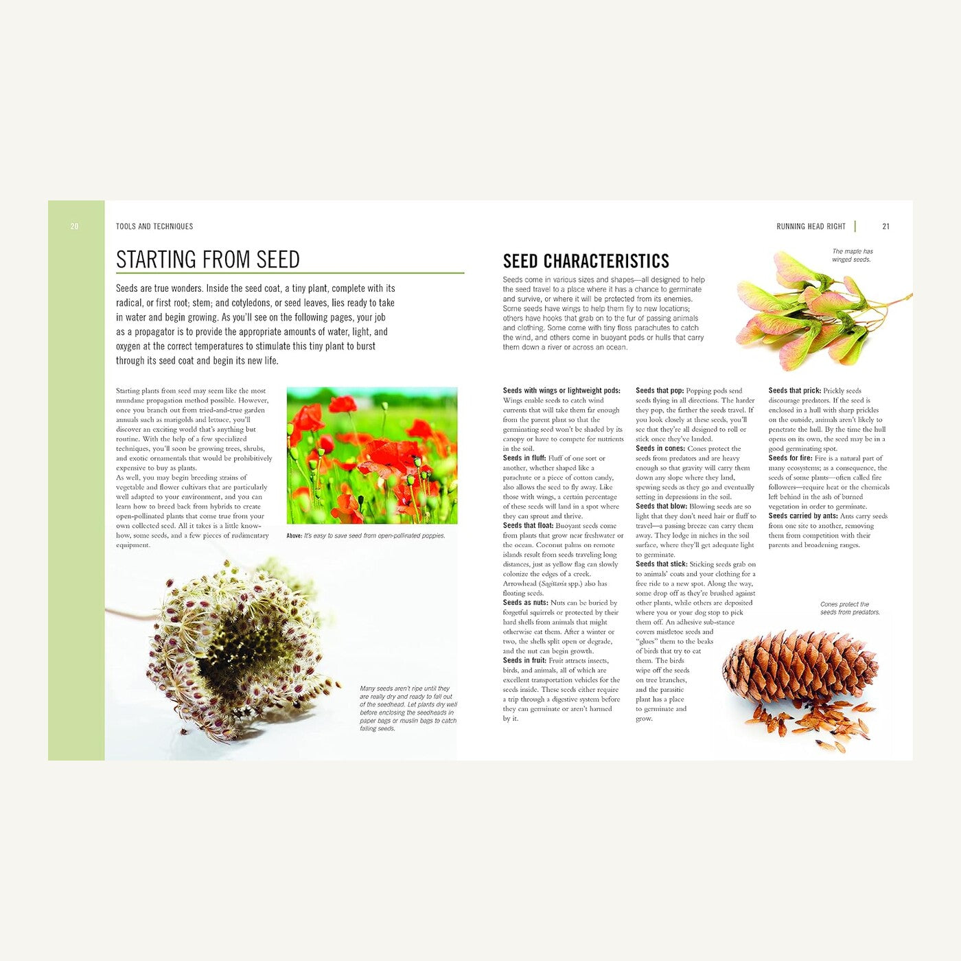 Starting from seed guide inside The Plant Propagator’s Bible