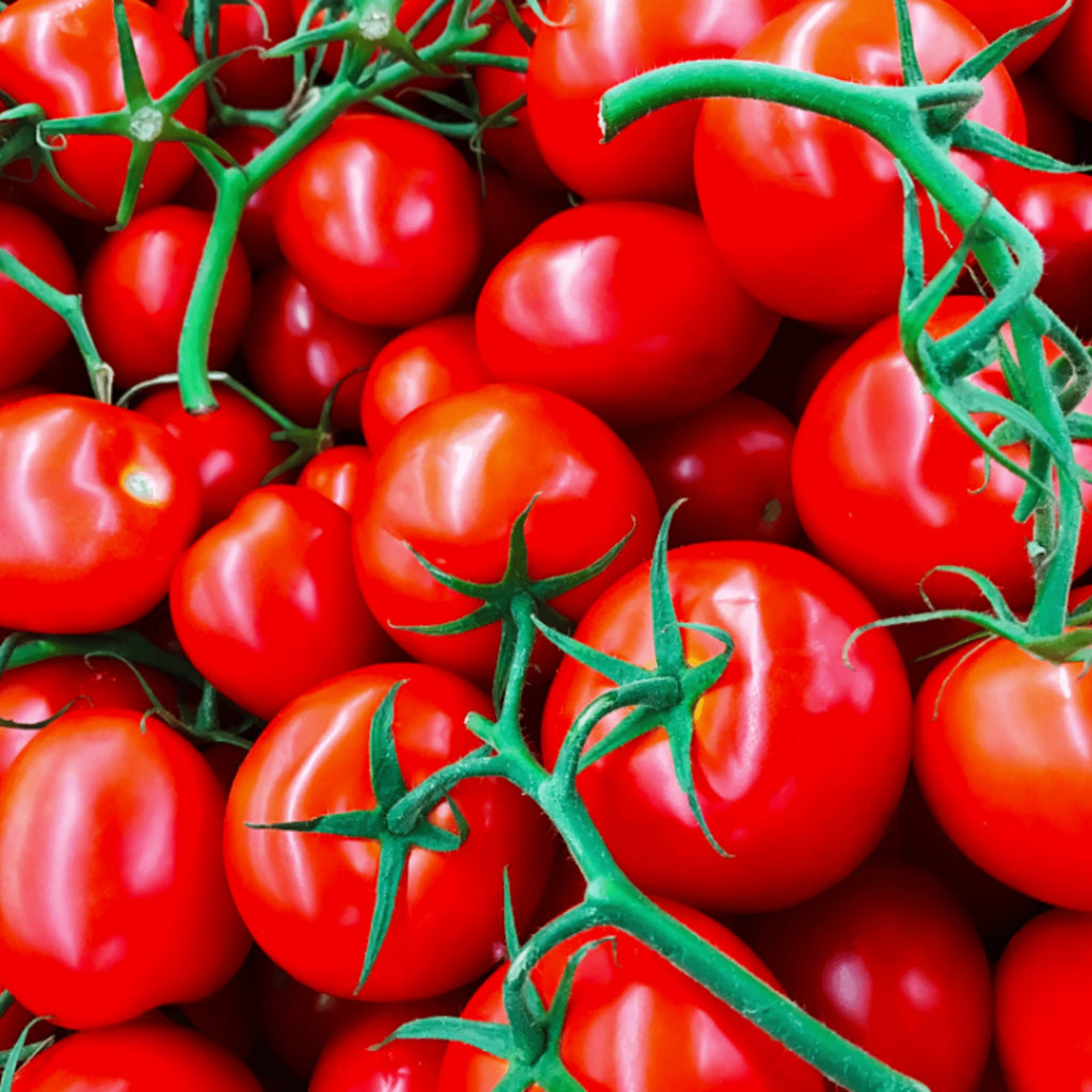 Tomato Grosse Lisse Heirloom Seeds - Planting Organics