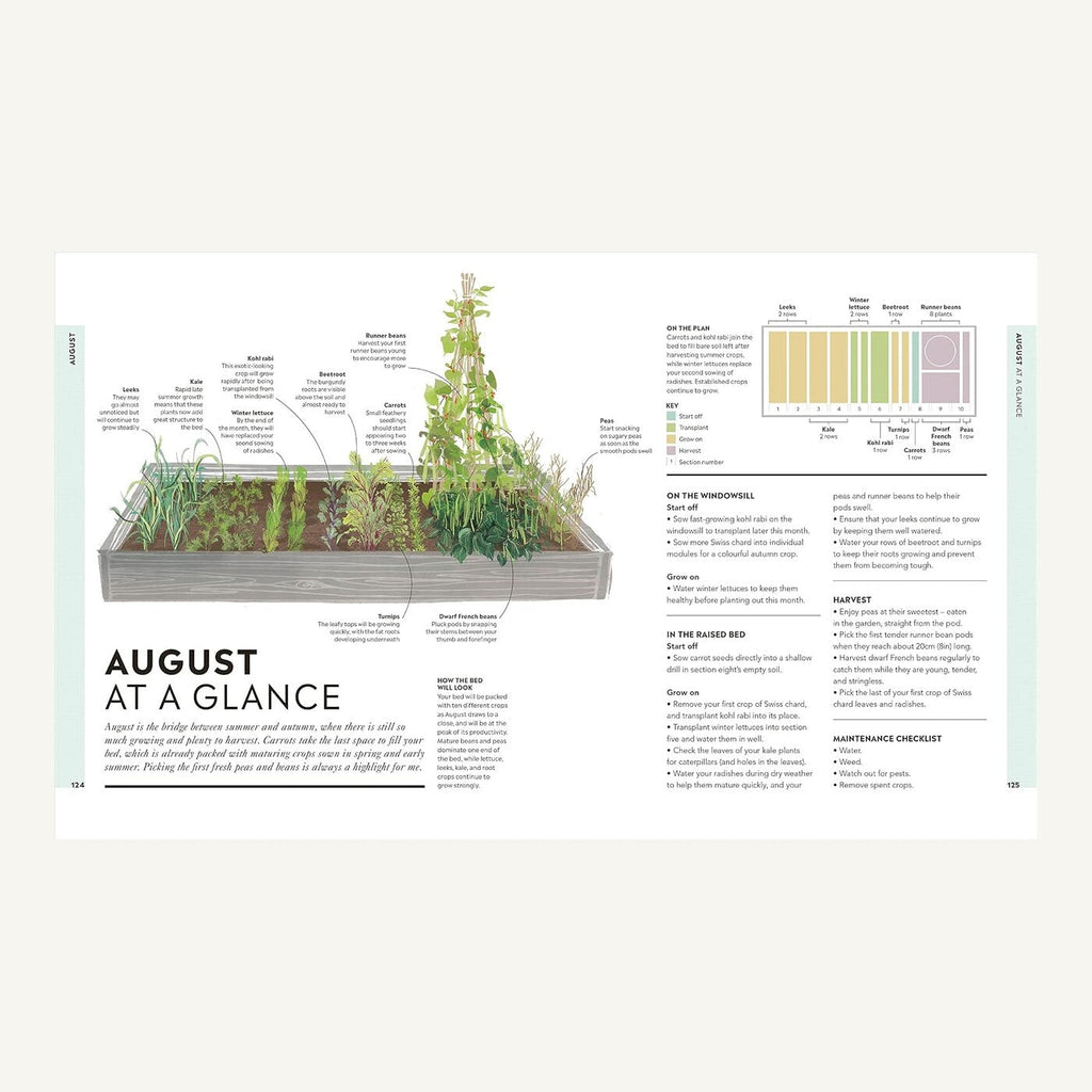 August raised bed growing plan inside Veg in One Bed