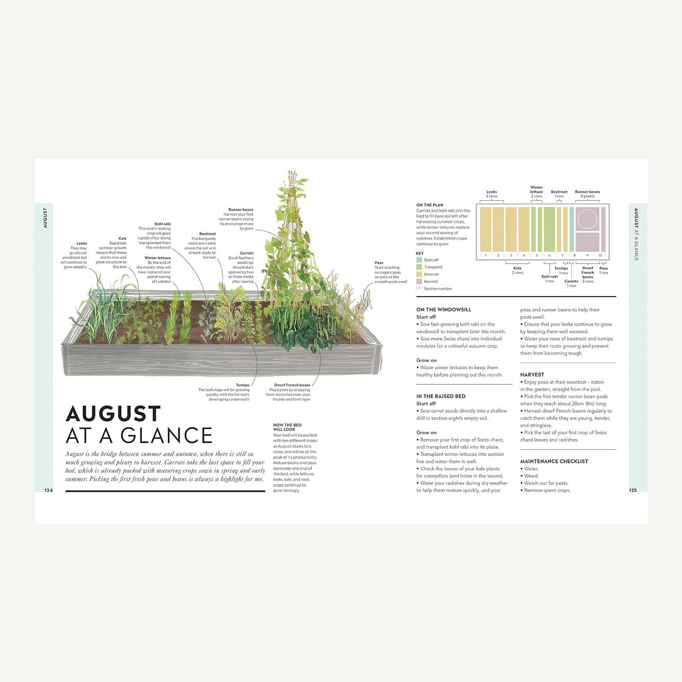 August raised bed growing plan inside Veg in One Bed